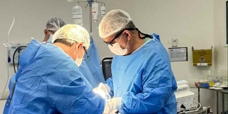 Bebê de 29 dias é doador na primeira captação de órgãos pediátrica registrada em Goiás