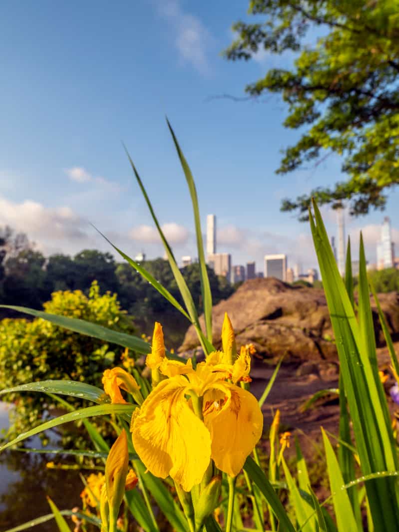 Turismo em Goiânia