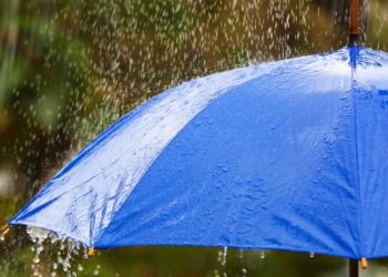 Inmet emite alerta de chuva intensa para norte, leste e noroeste de Goiás; veja previsão