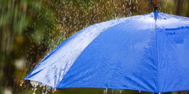 Inmet emite alerta de chuva intensa para norte, leste e noroeste de Goiás; veja previsão