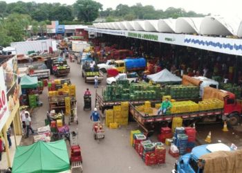 Feriado de Nossa Senhora Aparecida: veja o que abre e fecha em Goiás
