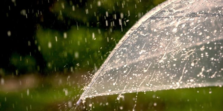 Goiás tem alerta de tempestade com ventos de até 60 km/h, diz Inmet