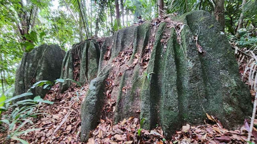 Indícios de antiga civilização documentados em campo pela equipe